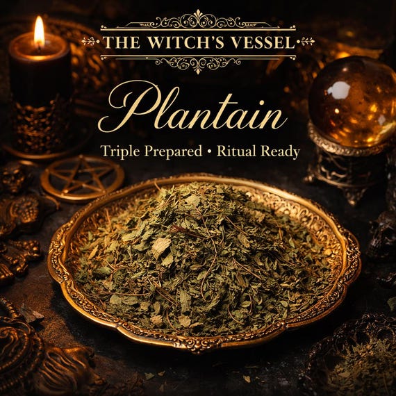 Triple Prepared Plantain Leaf