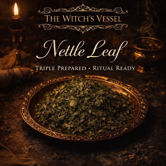 Triple Prepared Nettle Leaf