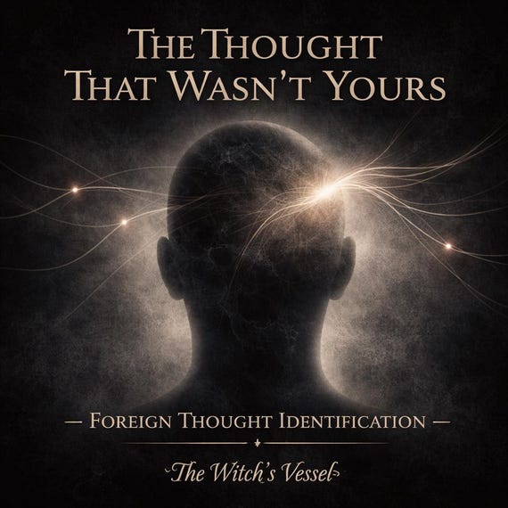 The Thought That Wasn’t Yours — Foreign Thought Identification — Mental Signal Reading