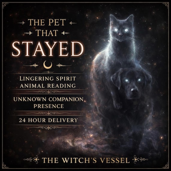 The Pet That Stayed — Lingering Animal Companion Reading