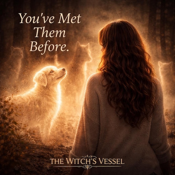 You’ve Met Them Before — Past Life Pet Companion Binding