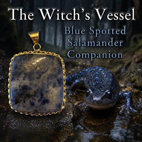 Felwrit Blue Spotted Salamander — First Touch Direct Binding — Affectionate Spirit Companion — LIVING ENERGY CURRENT