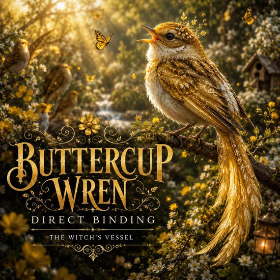 Nueyao — Sunsong Bird Fairy Companion Direct Binding